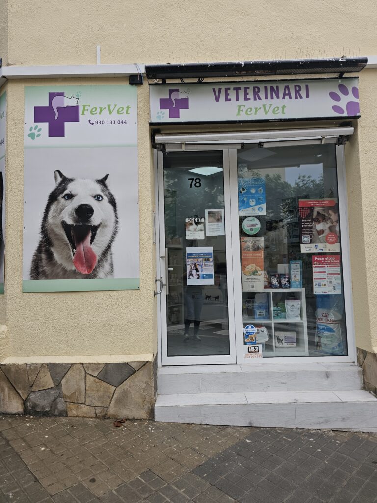 Fervet 4