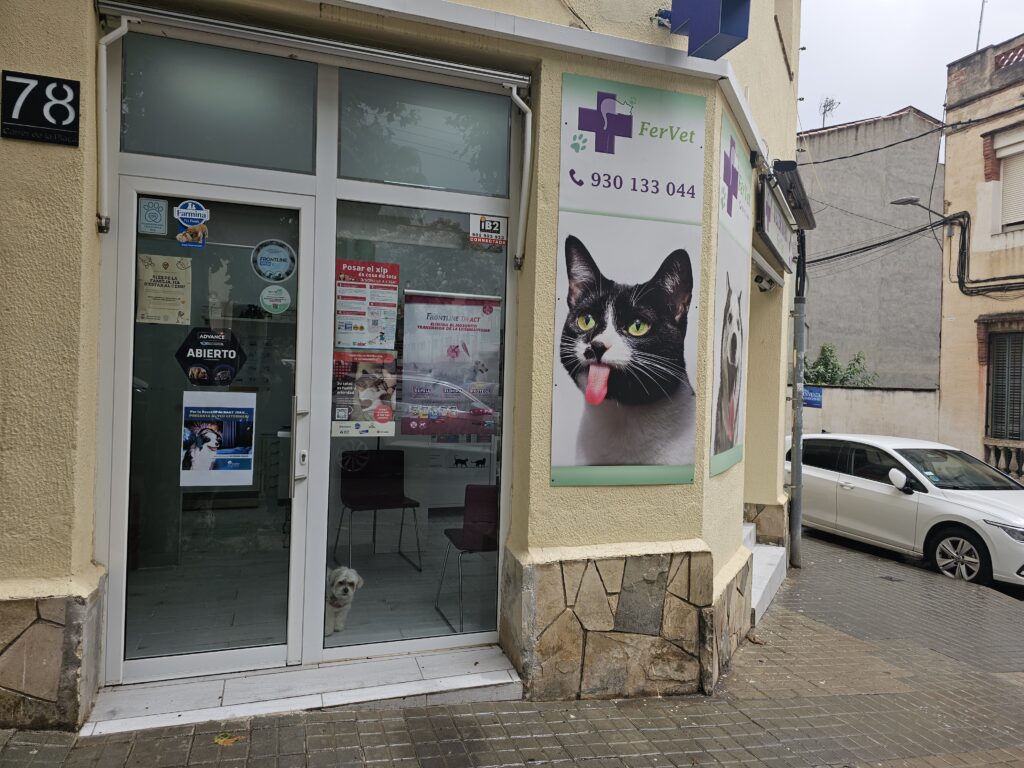 Fervet 8